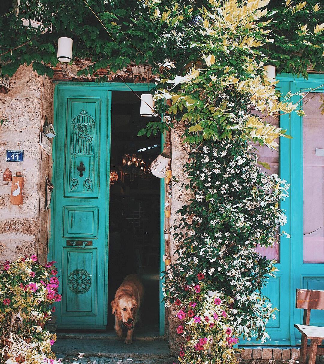 floralls:  Turkey by   ahmet.erdem  