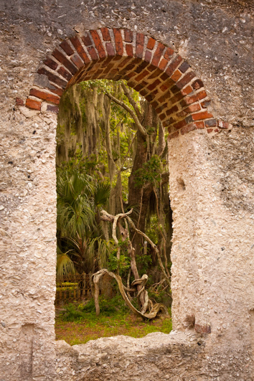 hueandeyephotography:Window and vines, Chapel of Ease ruins, Saint Helena Island, SC© Doug Hickok  A