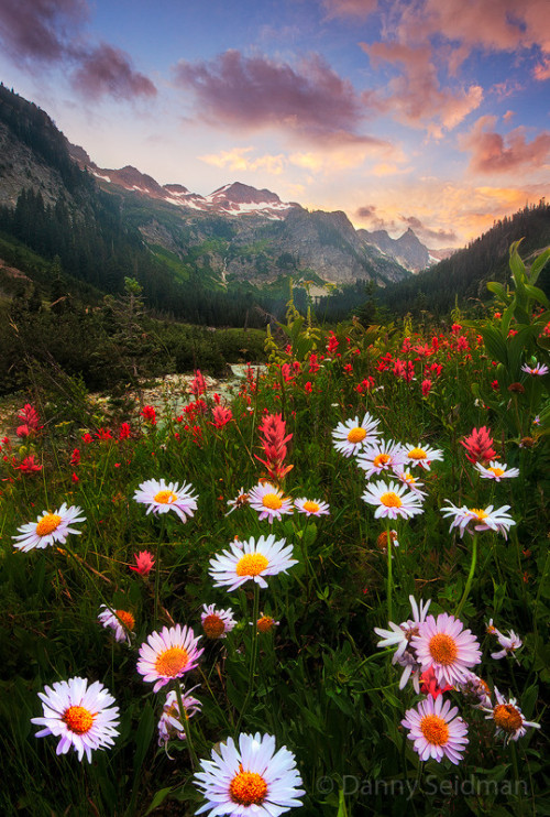 woodendreams:Alpine Lakes Wilderness, Washington, US (by Danny Seidman)