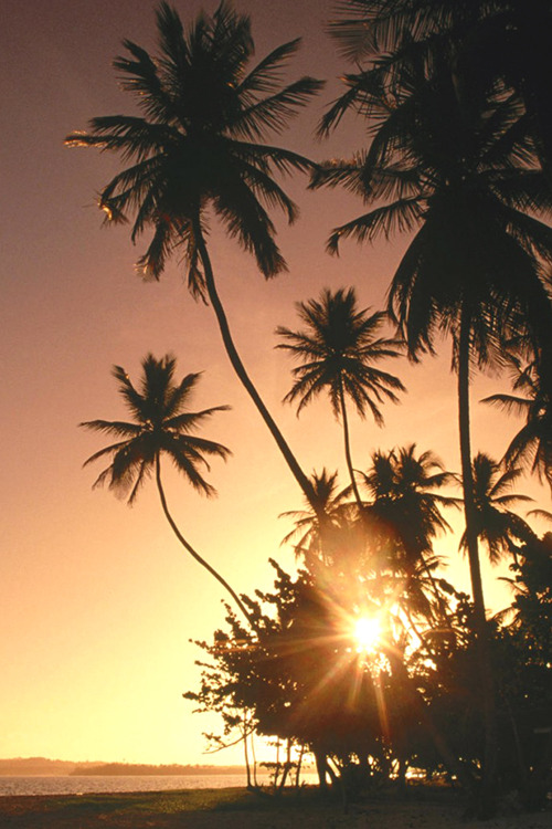 realgucci:  sunset | source | more     