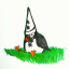the-puffinry