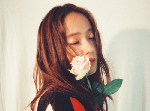 femaleidols:  krystal x nylon japan adult photos