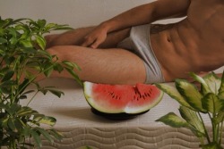 bbmvttmvtt:  i want that watermelon