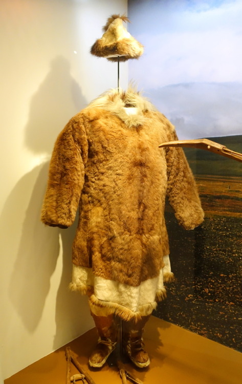 Artifacts from the Chukchi Collection at the Museum of Ethnography inStockholm:Shirt (Chukchi Penins