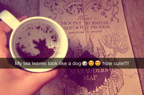 Hogwarts: a snapchat story