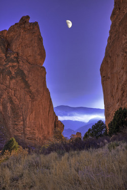 4quarius:  Mist on the Mountains by Bern Harrison 