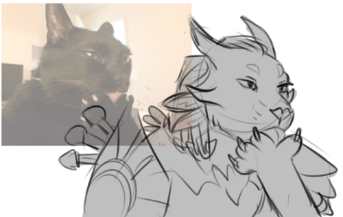 guildwuff2: cat memes?? with charr??? never been done