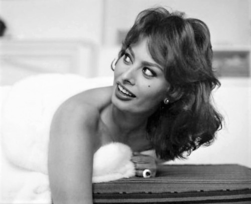 tugaskesask:gatabella: Sophia Loren by Tony Vaccaro, New York, c.1959 Happy Birthday Sept. 20th