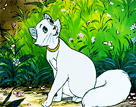 nate-haley:  Every truly cultured music student knows: you must learn your scales and your arpeggios.The AristoCats (1970)