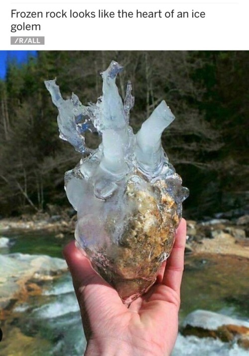 onyourleftbooob:r/InterestingAsFuck