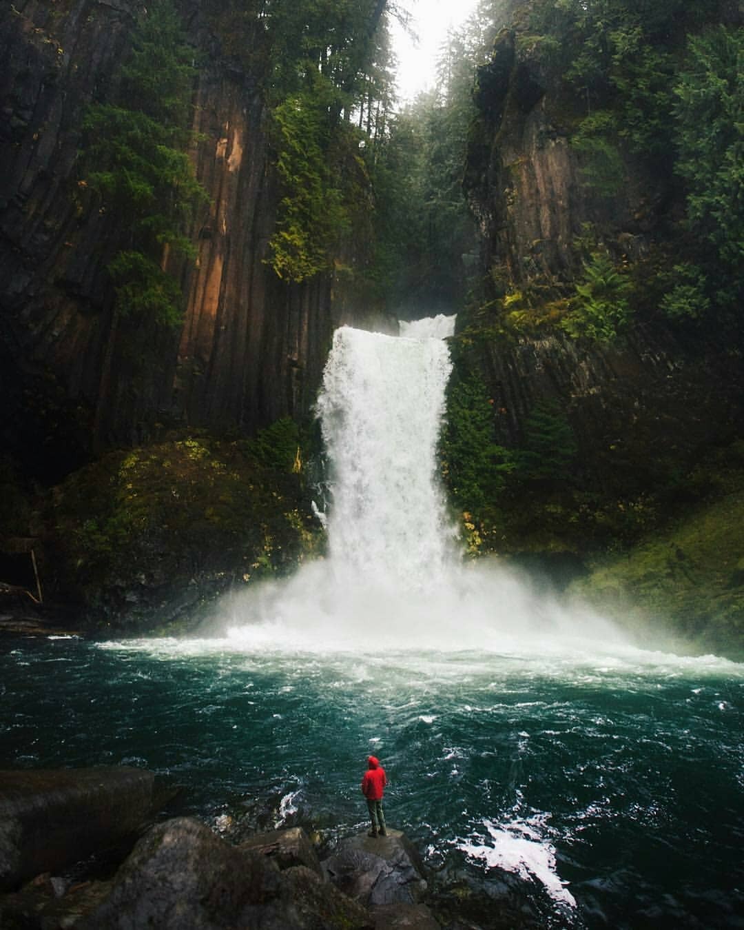 🌎 Toketee Falls, Oregon, US
Regranned from @karl_shakur - •🌊🚶🏾🌲• Pine Falls •
Very hard to fit the majesty of this place in one frame.
Stay Adventurous Dear Friends!!
#adventure #sayyestoadventure #wanderlust #wander #wanderer #travel #traveling...