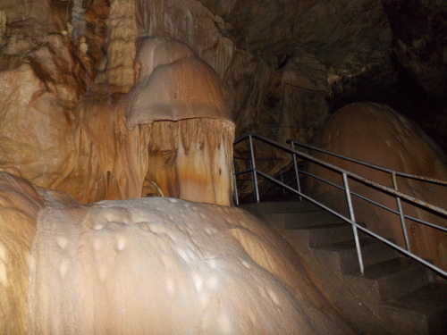 Peștera Urșilor (Bears Cave), Apuseni Mountains / Romania.