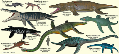 Aquatic Dinosaurs