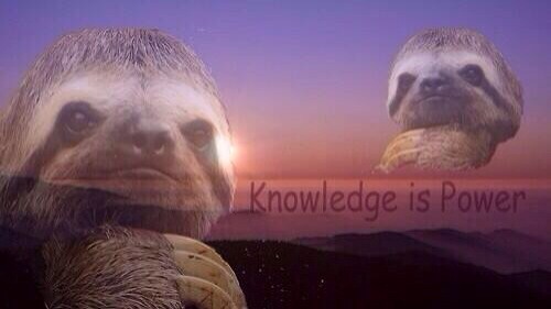 moonemojii:  *studies for 2 minutes* 
