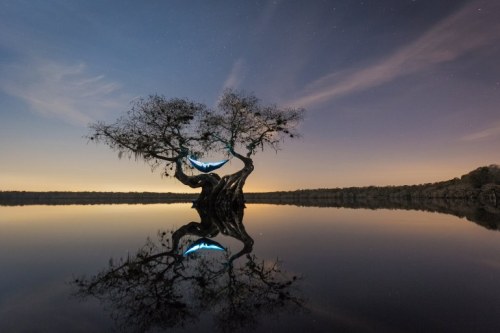 These beautiful photos will make you want to save the Everglades.“I still see the world through the 