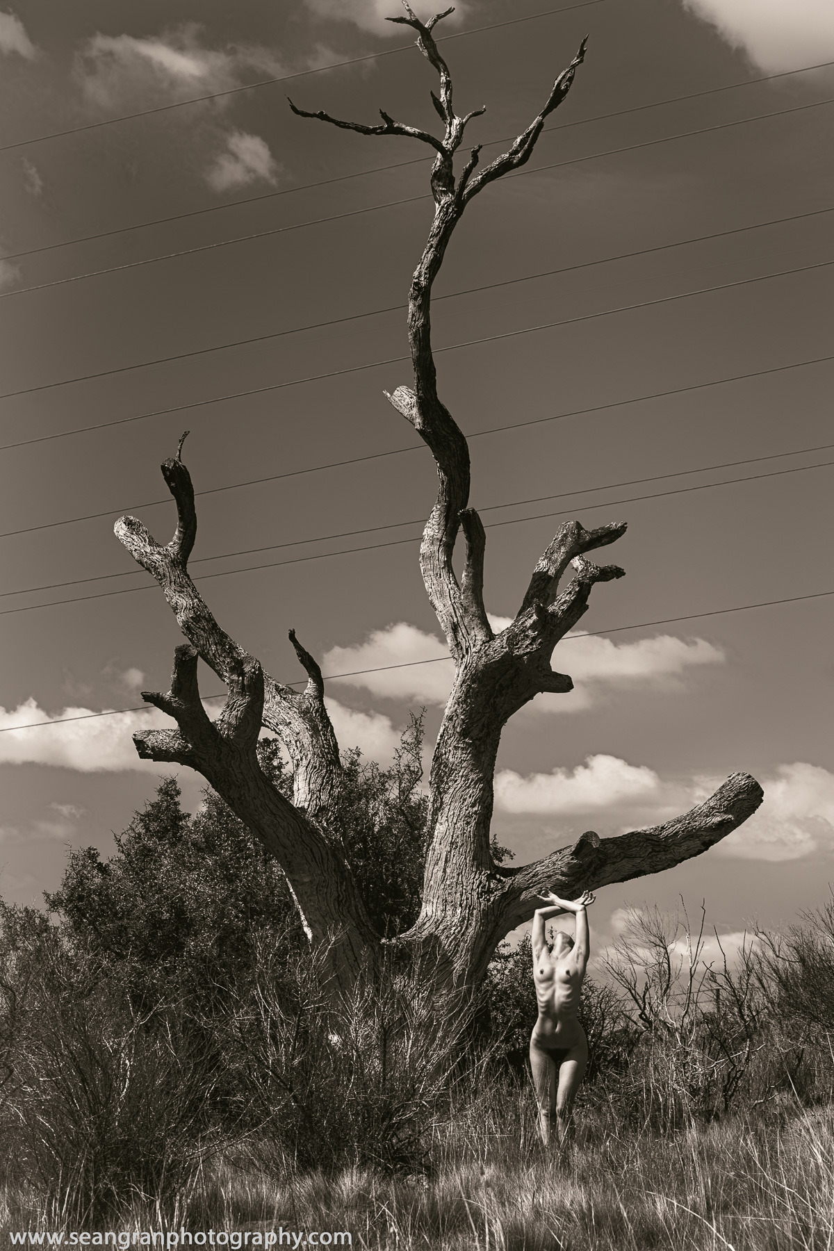 imagesbysg:  Outback art nude