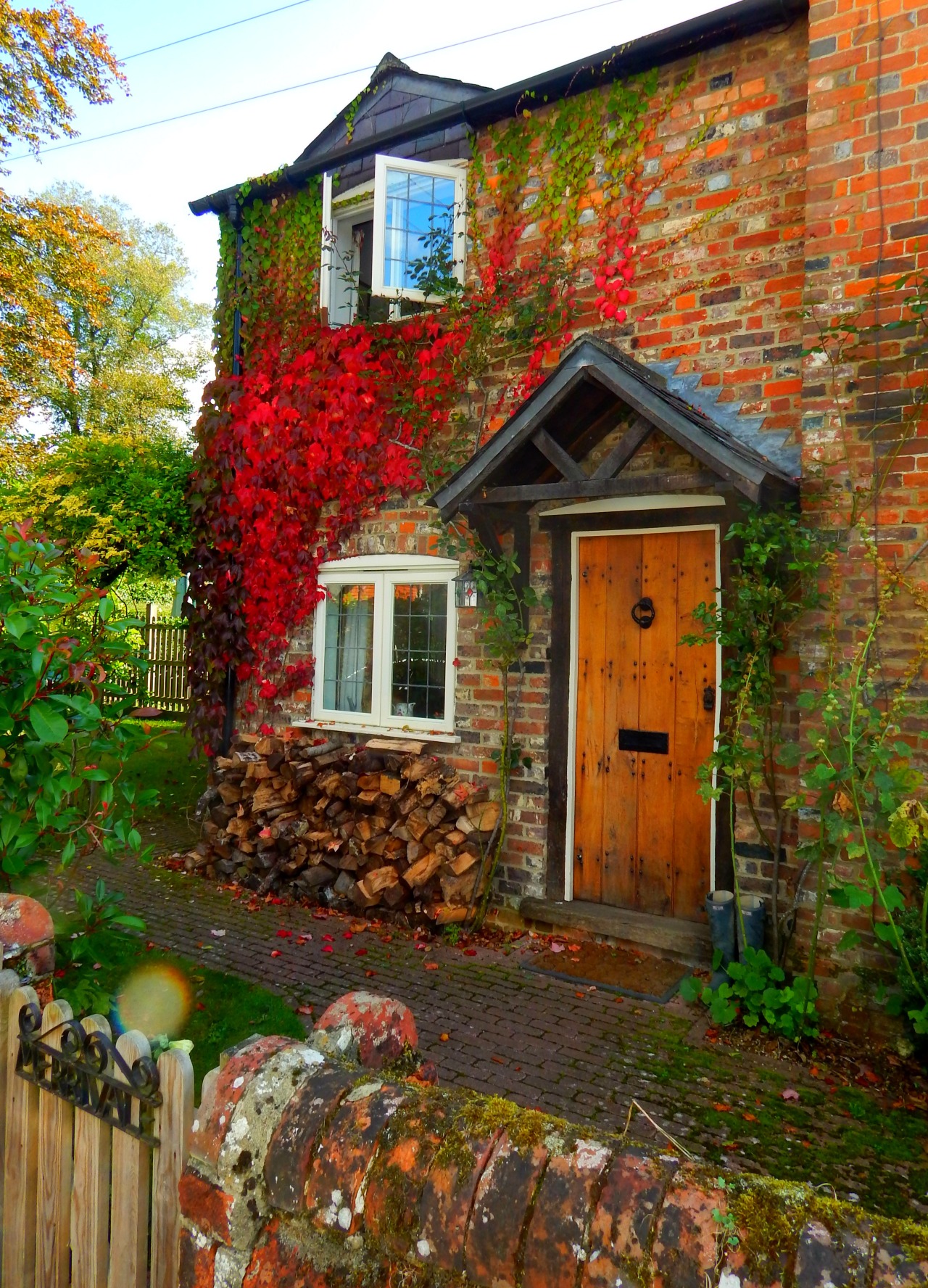 fuckitandmovetobritain:  Great Britain  [6] - Autumn - Hampstead Heath, Llanrwst,