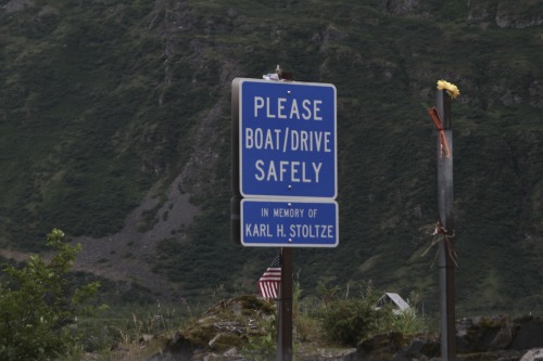 highways-are-liminal-spaces: A collection of my favorite Alaska-specific signage Taken June through 