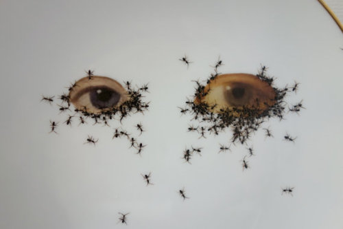 asylum-art:  Porcelain pieces that are infested with hand-painted ants by artistLa Philie  on Etsy German artist Evelyn Bracklow of La Philie decided to combine the elegance of vintage porcelain with the grossness of a horde of ants in a series she calls