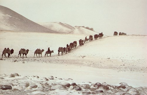 warkadang: WAKHAN CORRIDOR, AFGHANISTAN. Among the Kyrgyz people of the Pamir mountains.  Photo