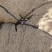 norwayspruce:secretivepotato:leafcrunch:icrsftlom-deactivated20210618:cognitohazardous:im