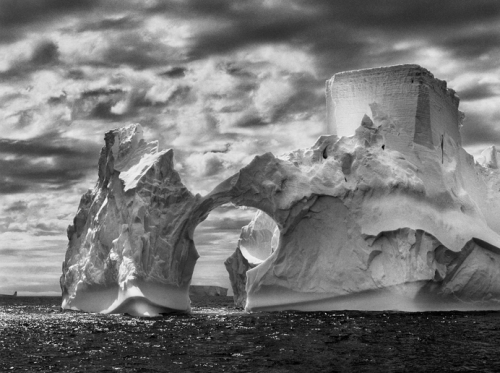 kateoplis:From The Salt of the Earth, a film by Wim Wenders & Juliano Ribeiro Salgado, celebrating the stunning photography of Sebastião Salgado.