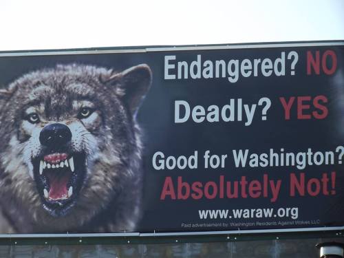 lonestray:SAVE WOLVES IN EASTERN WASHINGTON:These hostile, hate-themed billboards are being placed i