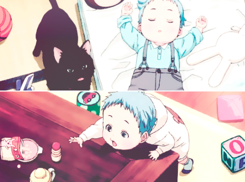 maajenka: Tetsuya Kuroko ♥（ﾉ´∀`）