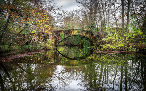 Autumn bridge by wenhua676