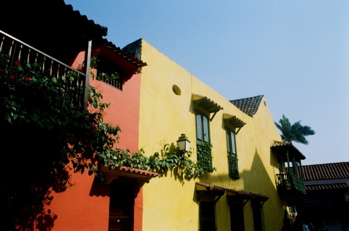 cakephotography:Cartagena, Colombia