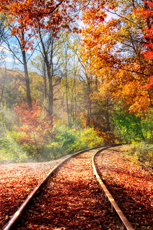 plasmatics-life:Autumn colors | by Steve Jurell | ….(Website)