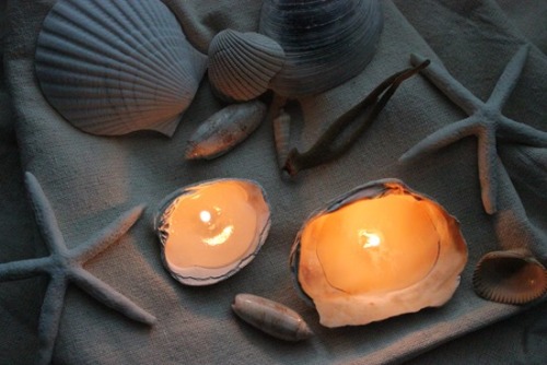 doityourselfproject: DIY Seashell Candle Tutorial