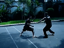 taichi-kungfu-online:Wing Chun In Real Life