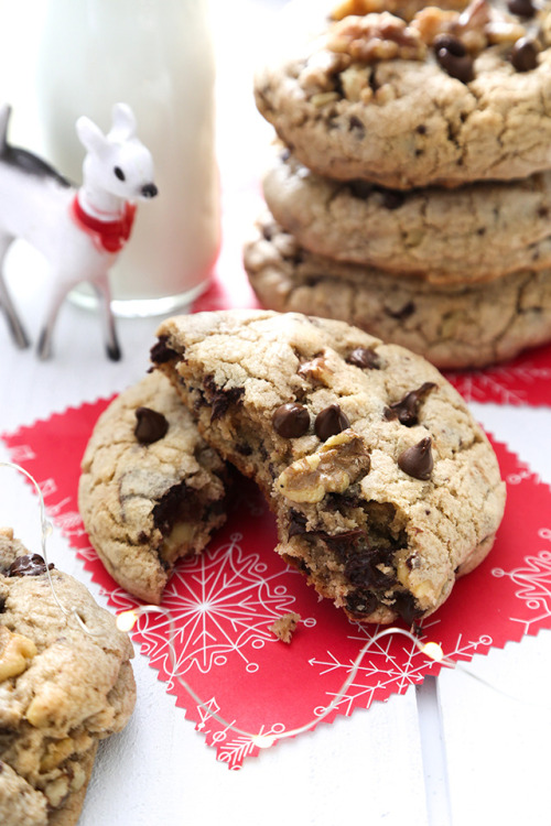 sweetoothgirl:  GIANT WALNUT CHOCOLATE CHIP COOKIES