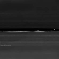 Daphnis and the Rings of Saturn #nasa #apod