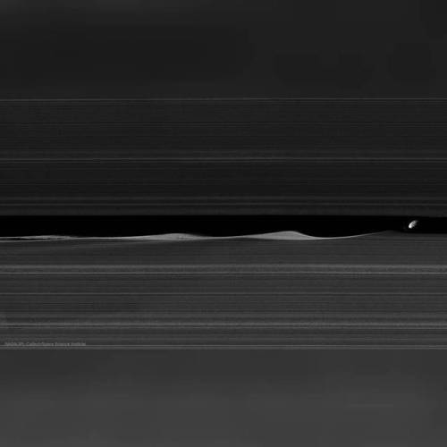 Daphnis and the Rings of Saturn #nasa #apod #jpl #caltech #ssi #cassini #spaceprobe #spacecraft #saturn #planet #daphnis #moon #satellite #keelergap #rings #solarsystem #space #science #astronomy