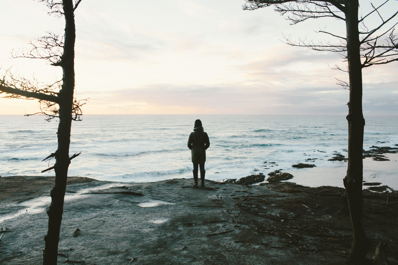 Art, nature and healing blog