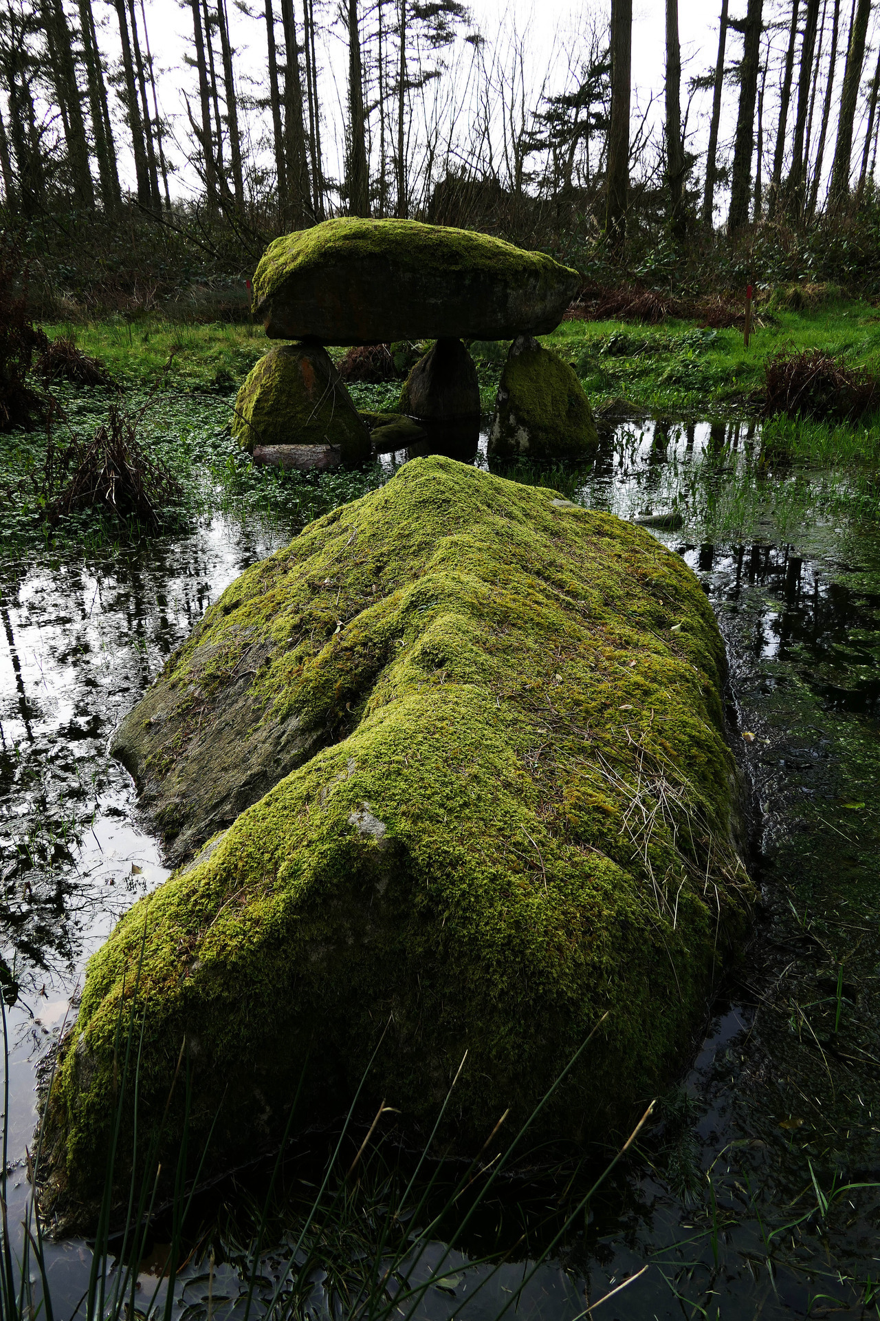 thesilicontribesman: Flooded Cromlech at Parc Glynllifon, North Wales, 16.2.18. It