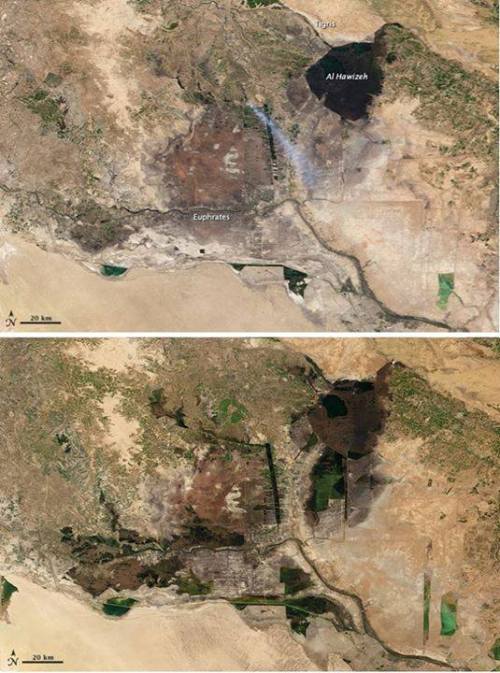 Restoring Mesopotamian WetlandsThe wetlands of Mesopotamia, between the Tigris and Euphrates rivers 