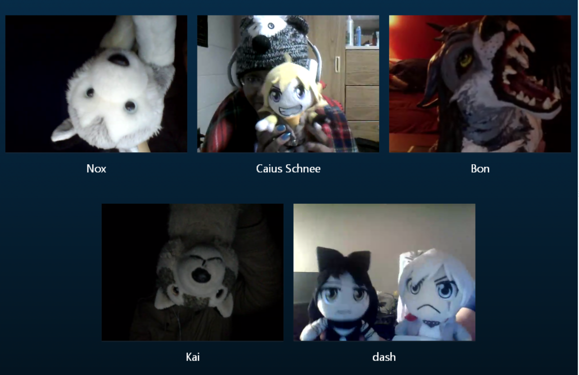 noxypep:  that moment when 3 people became furries and 2 became RWBY characters