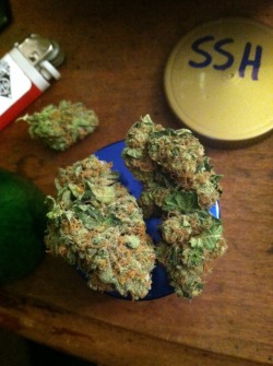 kushnkitties:  Some super silver haze