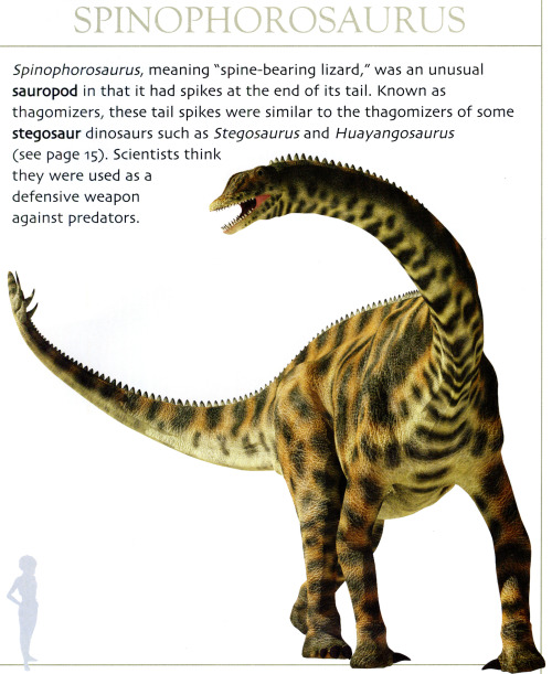 Some more nice CGI sauropod models by David West, from David and Oliver West’s Dinosaurs of… 