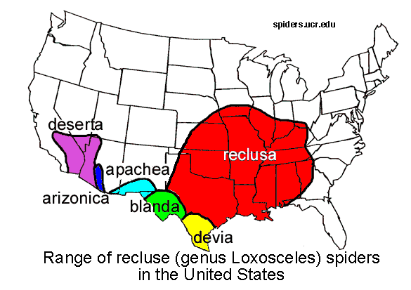 Range of the infamous brown recluse spider in red, range of related species highlighted in other col
