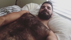 Hairy Guys n Bears