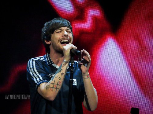 lthqs:Louis performing at Poptopia by Amy Marie