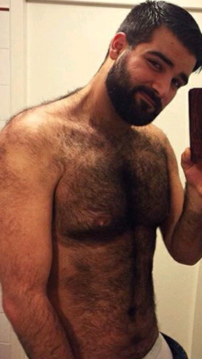 daddyfurrybear:PhotoMore Gay Bear here