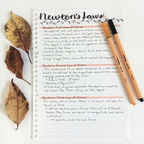 hannybstudies:budgie-studies:feeling the fall vibes!! (i may or may not have already purchased a bag