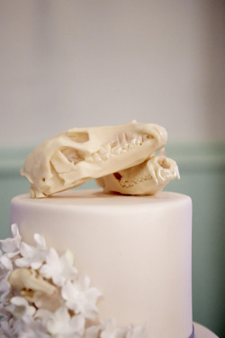 snakewife:  teachimera:  So, Snakewife and I got married last October and it was an absolutely beautiful ceremony.  I especially wanted to show off the amazing cake we had made by Pink Cake Box.  Not only was the cake delicious, but it looked fantastic.