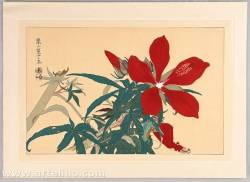 fujiwara57: kachō-ga 花鳥画 ou kachō-e 花鳥絵  estampe polychrome de fleurs et d'oiseaux de Tsuchiya Rakusan 土屋楽山 (1886 - ?). 
