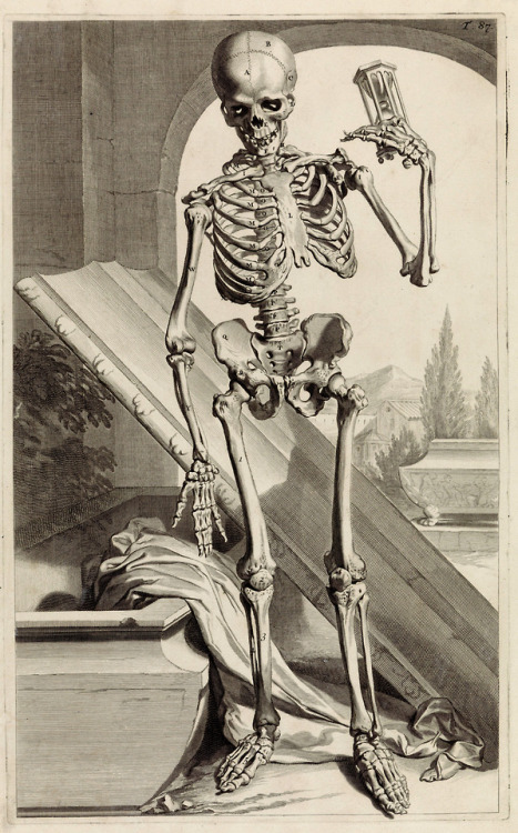 thefugitivesaint:Pieter van Gunst (1659-1724) (after Gerard de Lairesse, 1640-1711), ‘Anatomische mo